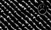 navLogobackground-stretch.jpg